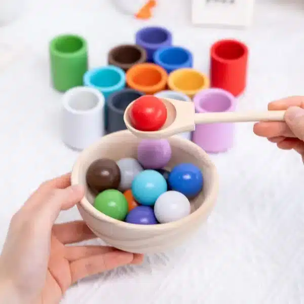 Set Éducatif en Bois - Boules et Tasses
